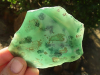 Polished One Side Polished Emerald Mtorolite Plates  x 12 From Zimbabwe - Toprock Gemstones and Minerals 