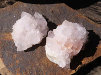 Natural White Cactus Flower Spirit Quartz Specimens  x 6 From Boekenhouthoek, South Africa - Toprock Gemstones and Minerals 