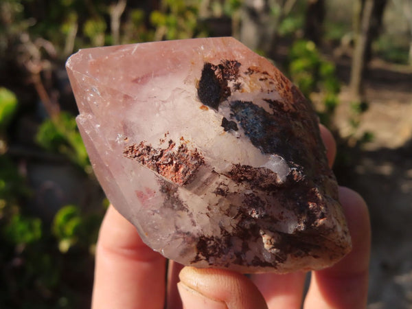 Natural Red Hematoid Quartz Specimens x 6 From Karoi, Zimbabwe