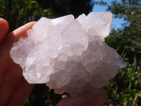 Natural White Cactus Flower Spirit Quartz Specimens  x 6 From Boekenhouthoek, South Africa - Toprock Gemstones and Minerals 