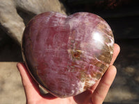 Polished Large Petrified Wood Hearts x 2 From Mahajanga, Madagascar