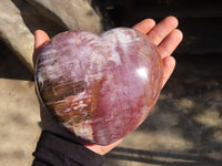 Polished Large Petrified Wood Hearts x 2 From Mahajanga, Madagascar