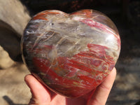 Polished Large Petrified Wood Hearts x 2 From Mahajanga, Madagascar