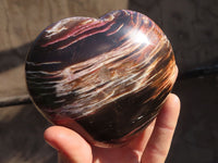 Polished Large Petrified Wood Hearts x 2 From Mahajanga, Madagascar