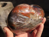 Polished Large Petrified Wood Hearts x 2 From Mahajanga, Madagascar