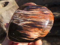 Polished Large Petrified Wood Hearts x 2 From Mahajanga, Madagascar