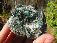 Natural Rare Emerald Mica In Matrix Cobbed Specimens x 10 From Mutoko, Zimbabwe