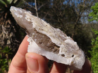 Natural Drusy Quartz Coated Calcite Crystals  x 12 From Alberts Mountain, Lesotho - Toprock Gemstones and Minerals 