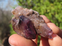 Natural Window Amethyst Crystals  x 23 From Chiredzi, Zimbabwe