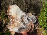 Natural Rare Bladed Barite Specimens  x 2 From Congo