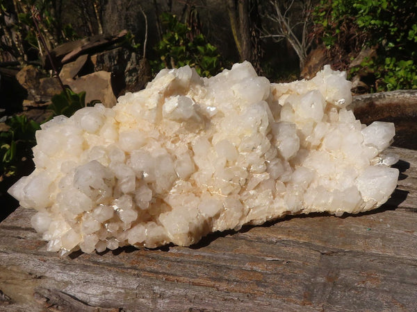 Natural White Phantom Castle Window Quartz Cluster x 1 From Ivato, Madagascar