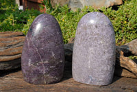 Polished Lepidolite Standing Free Forms x 2 From Madagascar - TopRock