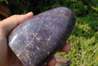 Polished Lepidolite Standing Free Forms x 2 From Madagascar - TopRock