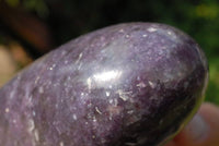 Polished Lepidolite Standing Free Forms x 2 From Madagascar - TopRock