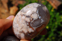 Polished Coral Flower Agate Gallets x 12 From Madagascar - TopRock