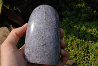 Polished Lepidolite Standing Free Forms x 2 From Madagascar - TopRock