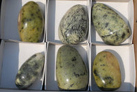 Polished Leopard Stone Standing Free Forms x 6 From Zimbabwe - TopRock