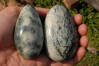 Polished Leopard Stone Standing Free Forms x 6 From Zimbabwe - TopRock