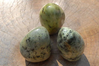 Polished Leopard Stone Standing Free Forms x 6 From Zimbabwe - TopRock