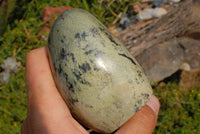 Polished Leopard Stone Standing Free Forms x 6 From Zimbabwe - TopRock