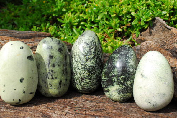 Polished Serpentine / Leopard Stone Free Forms x 8 From Nyanga, Zimbabwe - TopRock