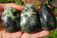 Polished Serpentine / Leopard Stone Free Forms x 8 From Nyanga, Zimbabwe - TopRock