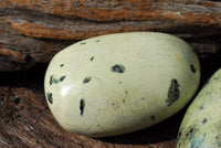 Polished Serpentine / Leopard Stone Free Forms x 8 From Nyanga, Zimbabwe - TopRock