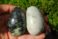 Polished Serpentine / Leopard Stone Free Forms x 8 From Nyanga, Zimbabwe - TopRock