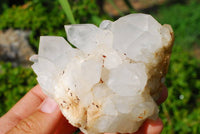 Natural Optic to Near Optic Quartz Crystal Clusters  x 2 From Madagascar - TopRock