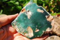 Polished Mtorolite Emerald Chrome Chrysoprase Plates x 6 From Mutorashanga, Zimbabwe - TopRock