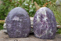 Polished Lepidolite Standing Free Forms x 2 From Madagascar - TopRock