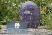 Polished Lepidolite Standing Free Forms x 2 From Madagascar - TopRock