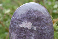 Polished Lepidolite Standing Free Forms x 2 From Madagascar - TopRock