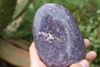 Polished Lepidolite Standing Free Forms x 2 From Madagascar - TopRock