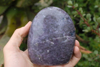 Polished Lepidolite Standing Free Forms x 2 From Madagascar - TopRock