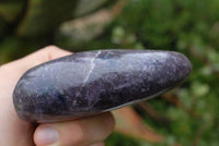 Polished Lepidolite Standing Free Forms x 2 From Madagascar - TopRock