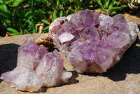 Natural Amethyst Crystal Clusters x 2 From Mambwe, Zambia - TopRock