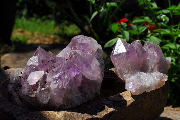 Natural Amethyst Crystal Clusters x 2 From Mambwe, Zambia - TopRock