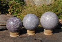 Polished Light Purple Lepidolite Sphere With Rubellite and/or Indicolite  x 3 From Madagascar - TopRock