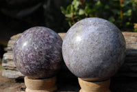 Polished Light Purple Lepidolite Sphere With Rubellite and/or Indicolite  x 3 From Madagascar - TopRock