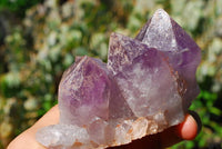 Natural Amethyst Crystal Clusters x 2 From Mambwe, Zambia - TopRock