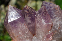 Natural Amethyst Crystal Clusters x 2 From Mambwe, Zambia - TopRock