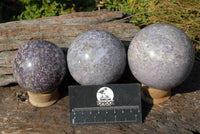 Polished Light Purple Lepidolite Sphere With Rubellite and/or Indicolite  x 3 From Madagascar - TopRock