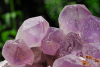 Natural Amethyst Crystal Clusters x 2 From Mambwe, Zambia - TopRock