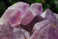 Natural Amethyst Crystal Clusters x 2 From Mambwe, Zambia - TopRock