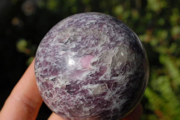 Polished Light Purple Lepidolite Sphere With Rubellite and/or Indicolite  x 3 From Madagascar - TopRock