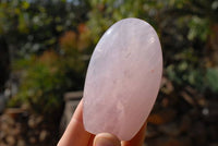 Polished Rose Quartz Standing Free Forms x 6 From Madagascar - TopRock