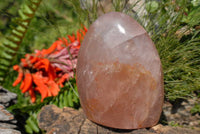 Polished Rose Quartz Standing Free Forms x 6 From Madagascar - TopRock