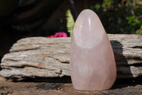 Polished Rose Quartz Standing Free Forms x 6 From Madagascar - TopRock
