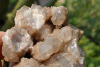 Natural Smokey Phantom Quartz Clusters x 3 From Lwena, Congo - TopRock